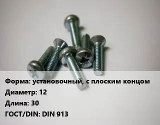 Винт установочный, с плоским концом 12х30 DIN 913
